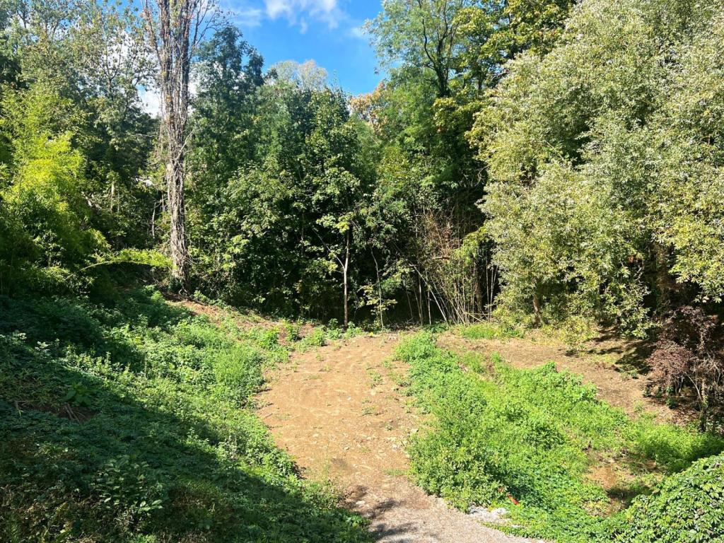 Photo annonce immobilière réf.17706